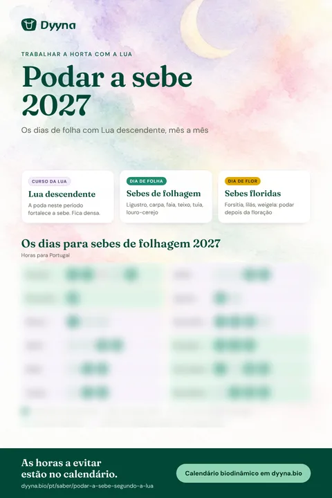 Infografia Podar a sebe 2027: os dias certos mês a mês