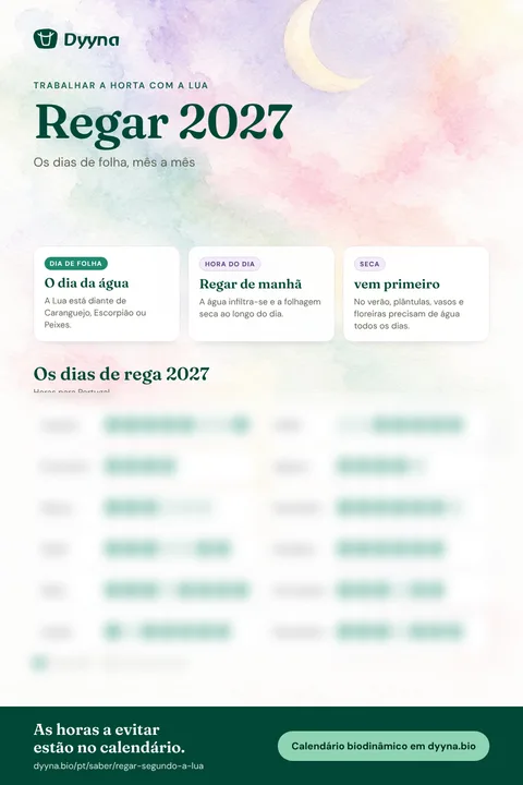 Infografia Regar 2027: os dias certos mês a mês