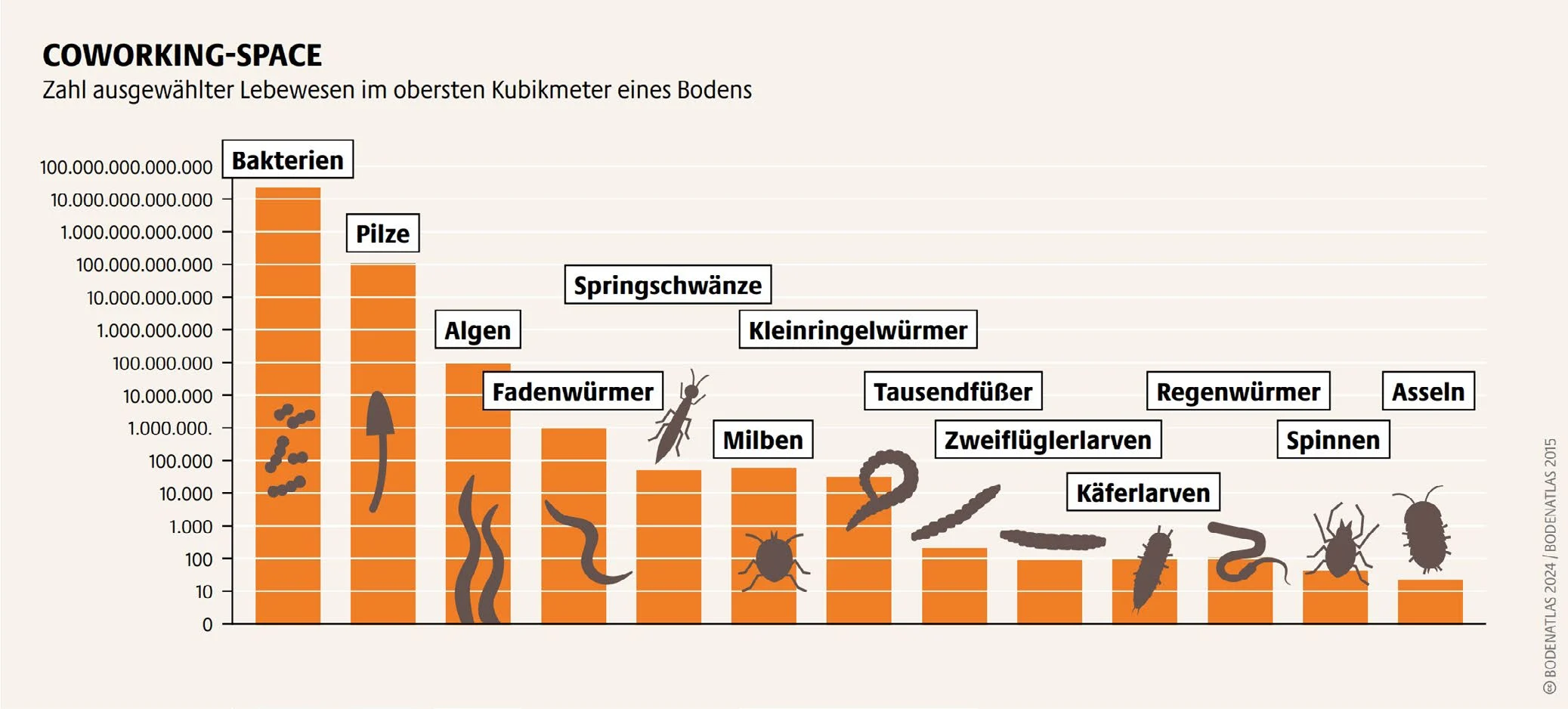 Balkendiagramm mit logarithmischer Achse: Zahl ausgewählter Lebewesen im obersten Kubikmeter eines Bodens, von Bakterien und Pilzen bis zu Spinnen und Asseln