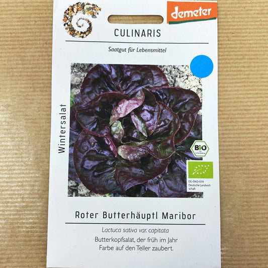 BIO Wintersalat Roter Butterhäuptl Maribor