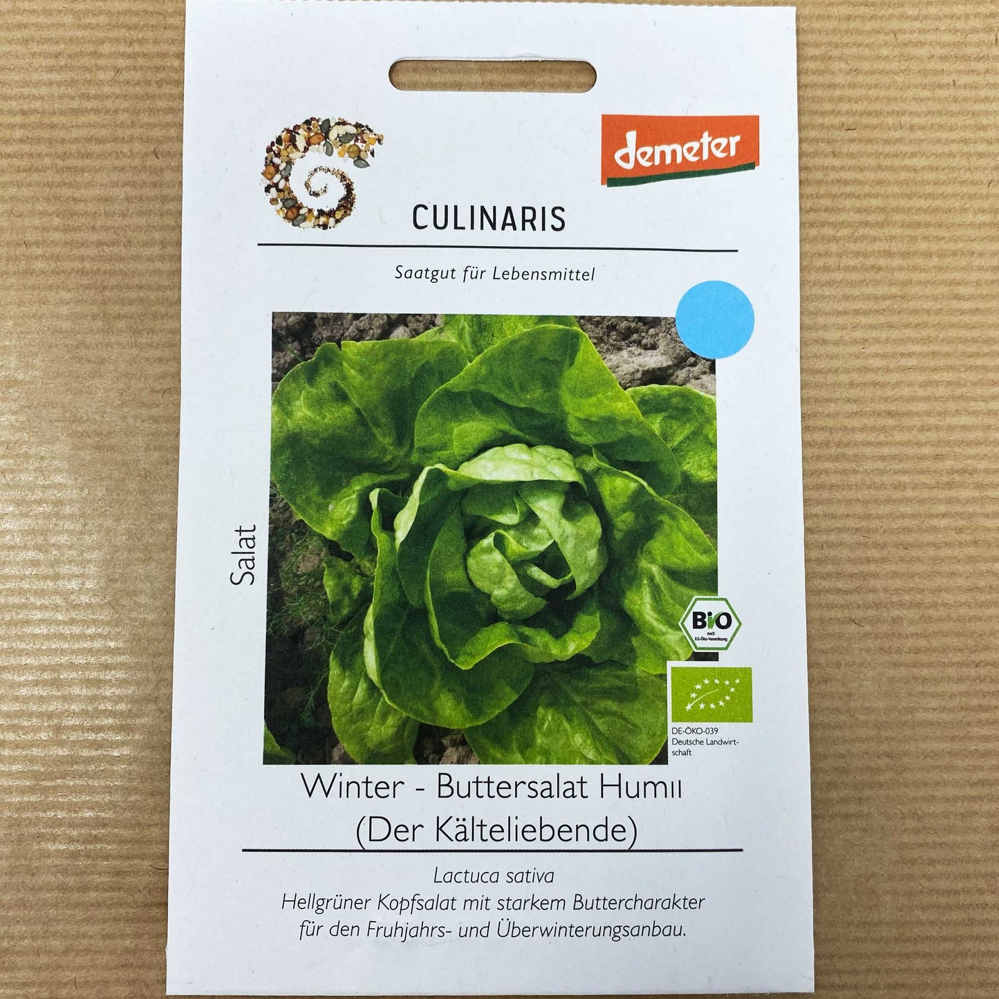 Wintersalat Saatgut Samen Buttersalat Culinaris